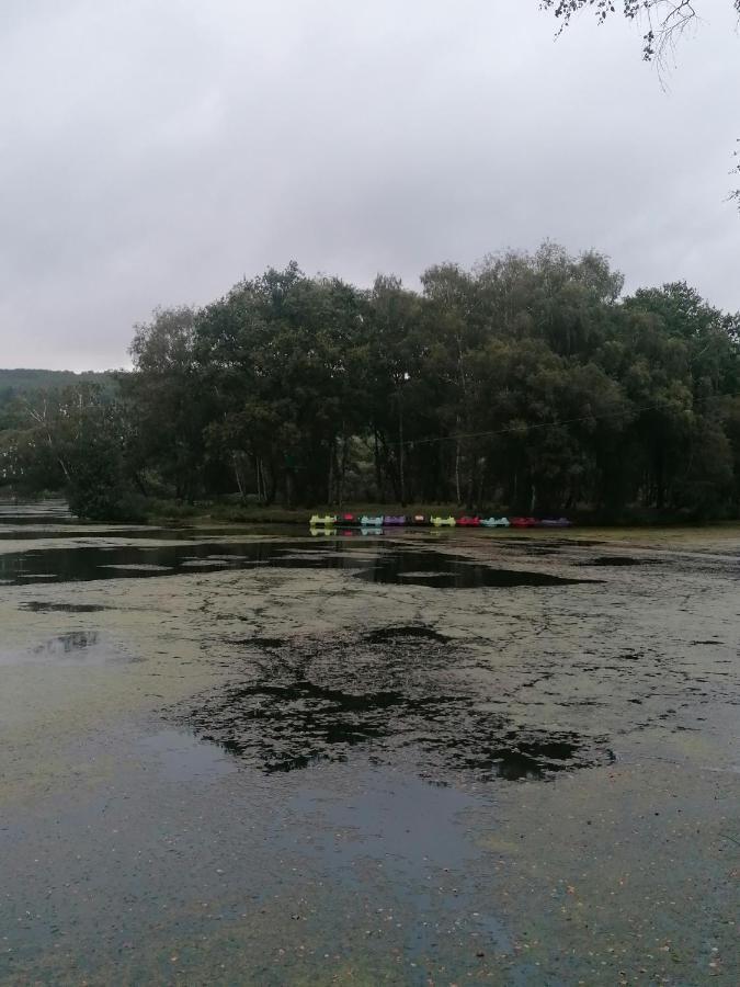Les Gites De L'Etang De La Foret Brandivy Extérieur photo